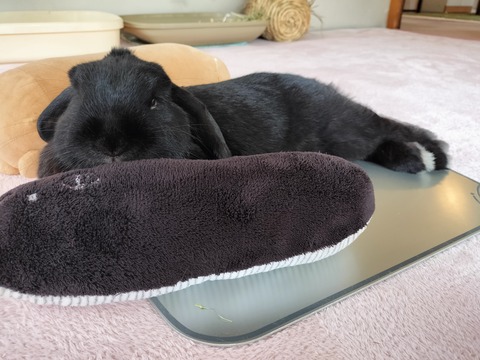 ACCE79E8-1182-407C-B52D-64AD8CCE2805