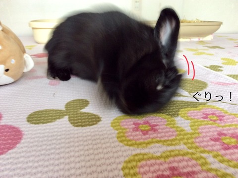 DD422DFC-34B1-4602-8373-CFD576E91DE9