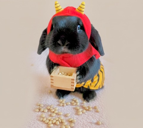 C35C0DD8-F2BC-4EF0-8A12-D8B6D55D5818