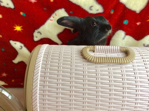 F1B95277-B2ED-43AB-9F40-2510981DDB48