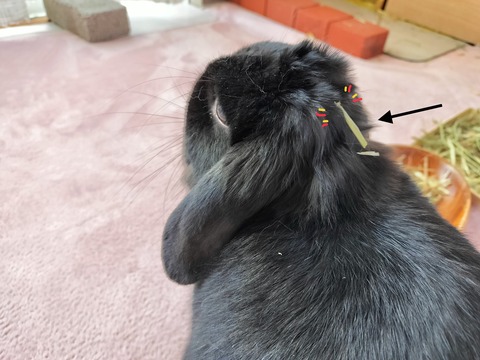 A8C09EFB-69E4-4DE4-9F35-552718EBEDB9