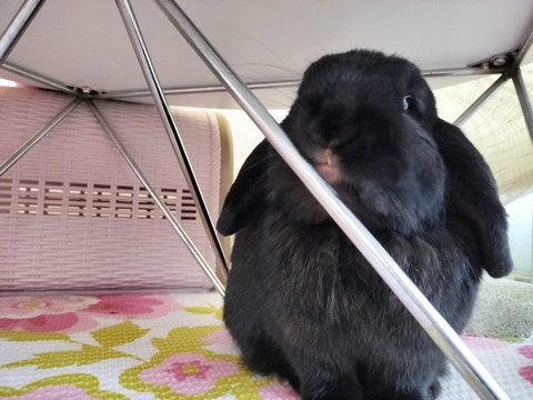 71D89BEC-BE32-4F92-994A-CE6513920A0B