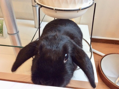 5D4DCF04-8AA3-46EF-951B-62DD4BCABCB1