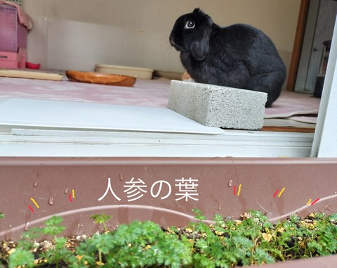 4011AAA0-B6AA-462F-9EB2-673750036716