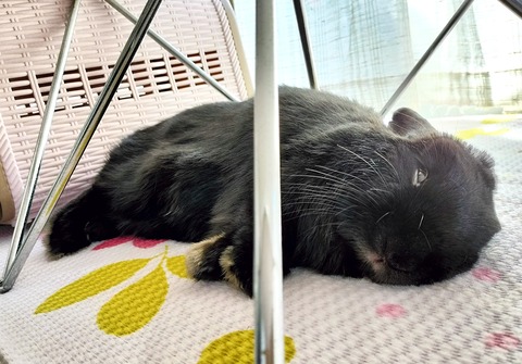 156A9C2E-76E4-49CE-AEE4-8B1DB4DB9F72