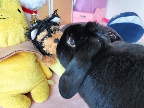 C7F7EF6E-8C2B-4AB0-A62C-5A5F5736EA69