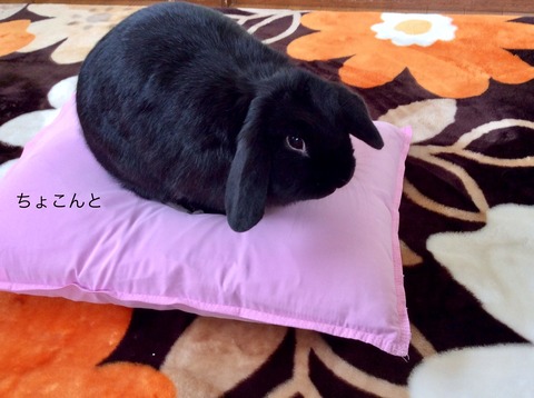 D8E74808-D73F-4729-839A-1DCE1C23A4AA