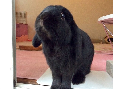 BA0A014C-2745-46A1-A493-4310871A6750