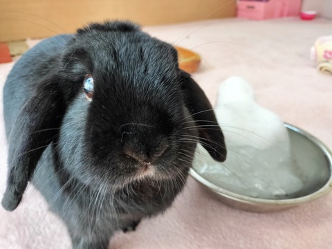 73C93C03-D3AB-424B-9721-D5BD98270EF6