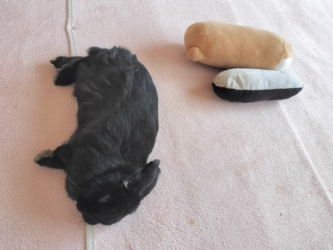 345178C5-CA7F-413C-BB60-7491CA9EFC7B