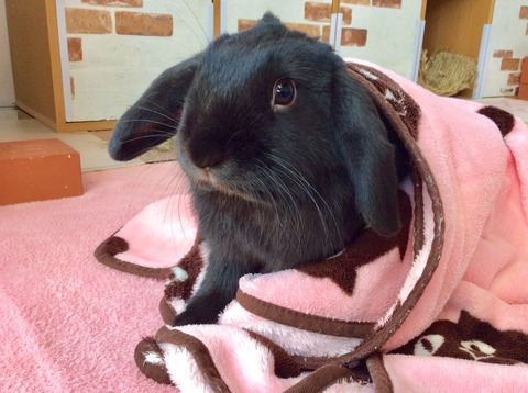 41611073-5965-463C-8B6D-FFC4082D6EAF