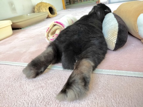 02295C88-B55F-4AFD-8133-234E6085794C