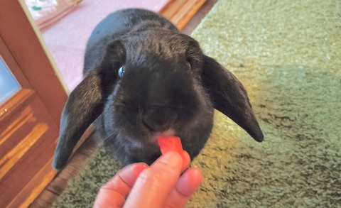 DB941CFD-9948-4029-AC32-4BE24EAD67C4