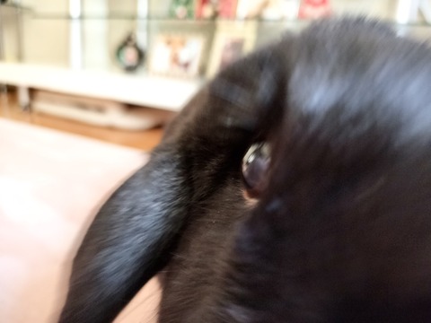 CCE2469A-84D6-4E81-913B-2CBB8D259E18