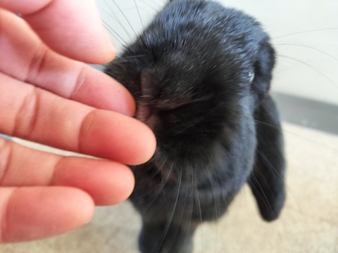 975600EA-9B71-4317-8A84-1EAABEAA28C3