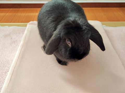 F6062E58-BAC8-4D38-B7F6-FB783510A01D