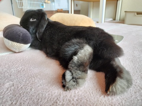 4D64DD48-8817-407A-A441-1A6DEB4D6BA7