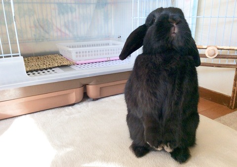 E3F840CA-A3E1-4C0B-8081-33D936370D5C