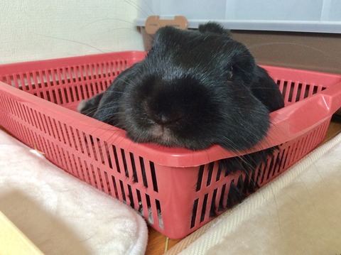 64D9D9ED-2734-4DC3-AD05-7072D9E783A9