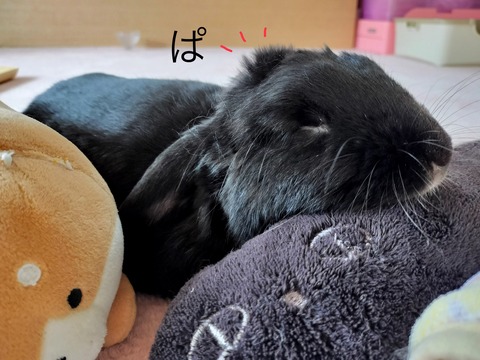 E30F6AB3-C4A7-43F1-BBB2-43181EBB50C5