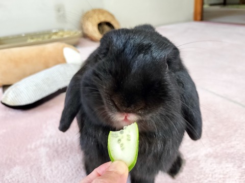 1C511C27-9217-49A3-B2B7-DAAB7589088C