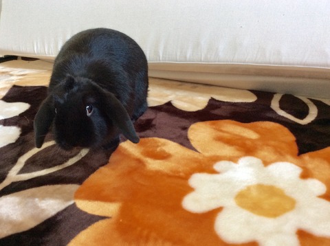 6B7B580B-7AEA-4EE7-A3A6-B3E096C8EDFB