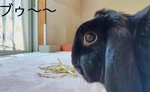 A125145B-0708-4839-B4E9-05407F3A8AA8