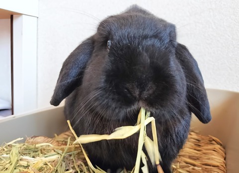 72392FC8-322C-4B7D-9EC6-E8D1EDA7687F