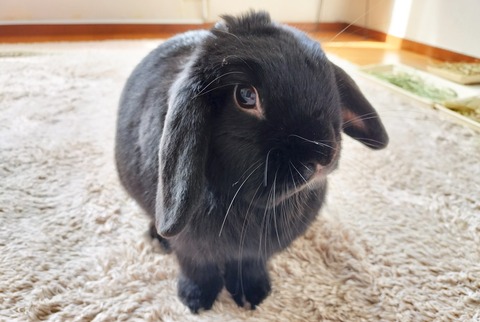 80EBF1EB-D3CD-474C-8501-11B22582ECC3