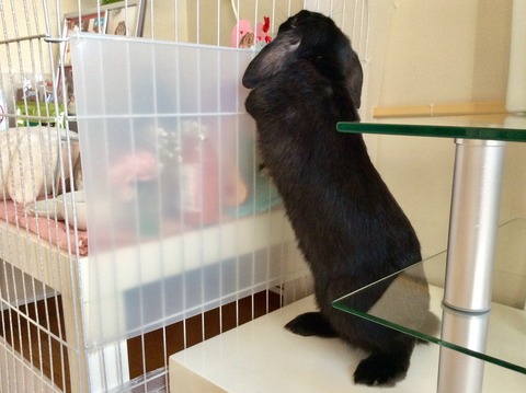 0039E88B-39BF-4DEA-AD61-C290C26085D3