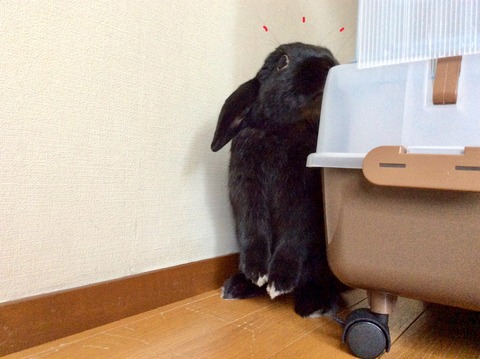 2083D238-0DDF-45FF-87B0-EFB1AFC45801