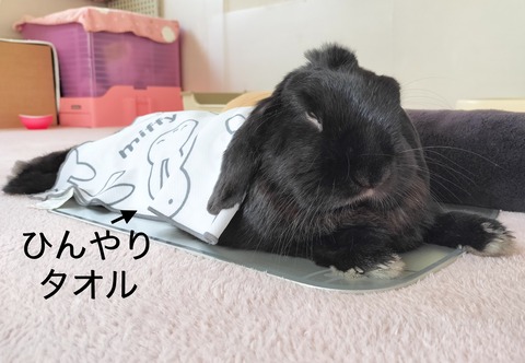 8DADA080-F195-42CD-8CD8-254E75596233