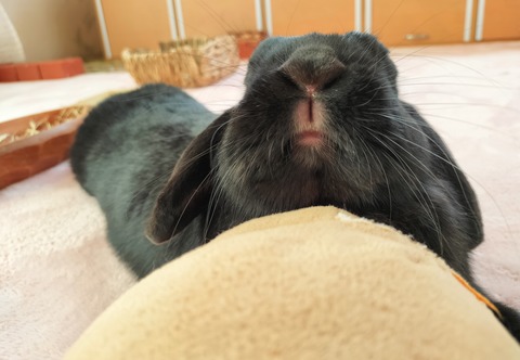 5364AAD9-B3C4-404C-8135-FED0741B2CD3