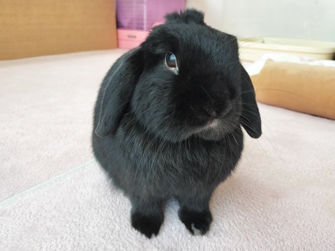 D852C7AD-FC7C-4FBD-B1E0-835AC3085D92