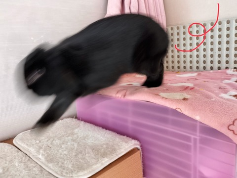 4BB1B4DB-2DF7-4771-9ADF-A26D7F51144A