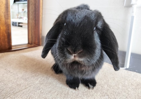 1C93DB7C-0879-48C8-A601-7A9139B079DB