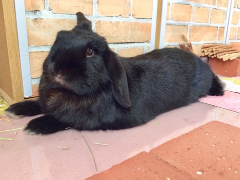 E433BCE4-70D4-44D7-9915-D1F4F7464F1E