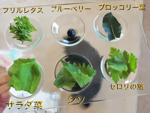 05D0CD4C-BAB9-4DF3-ACB3-5A696C09D3FA