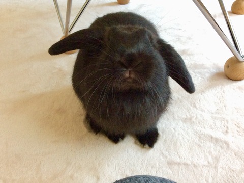 FC296F5C-2875-4FFA-91FD-02CE8220EBE4