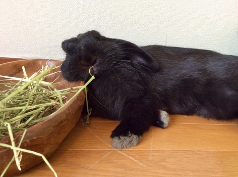 4C3F0B7B-4328-4A1E-A55B-6D9171DFA234