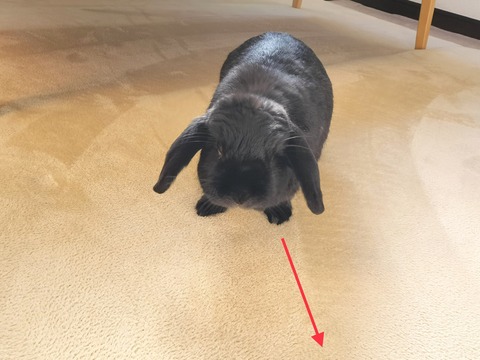 EE119A69-DC3D-4D7E-A1CA-259E06F50893