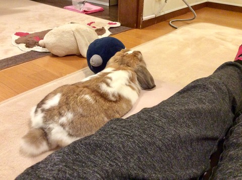 3CA6DADC-3156-45A5-AE9D-385D0643346C