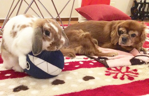 4A8A467C-36BD-43FB-9E07-CD7BBA2D9821