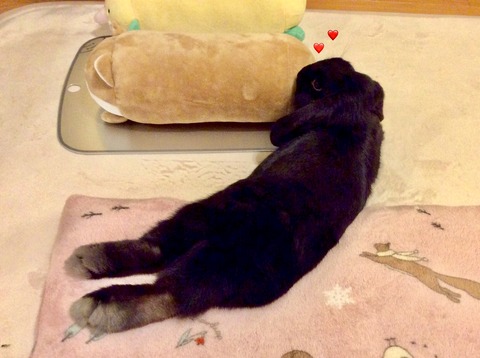 2DF26C20-F8BA-4C92-A2AE-1F0D93BA3402