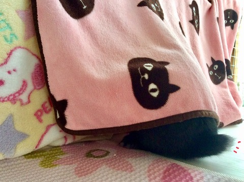 3C4BDECF-E342-4A3A-AC36-09FF490A0F11