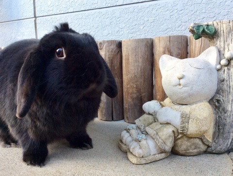 32E17673-39B0-4CAA-8D8B-AA31148206B8