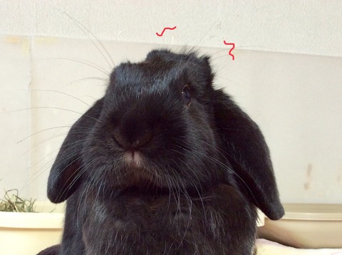 A6647B82-FD83-4FB8-B640-1A629FC8EF4E