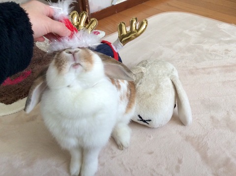 DD78E047-C3F5-4094-8E9F-88A85C4CF571