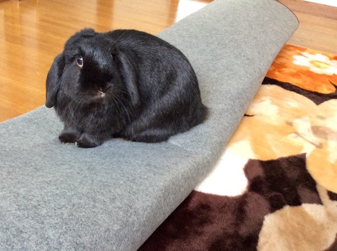 D11C4941-5616-4AA5-8997-6B9B26B5F0CB