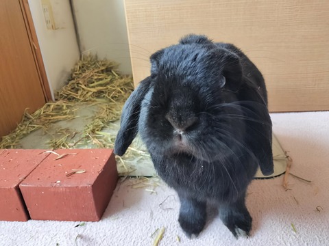 83A5ADA7-D1CA-4FF1-9341-2F5F75C13346